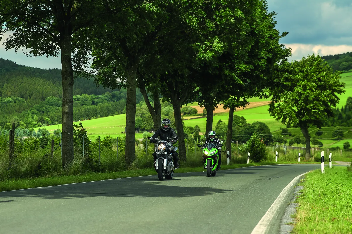 Allee im Sauerland