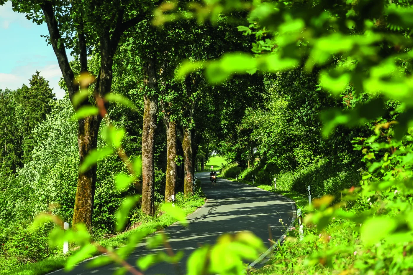 Baumgesäumte Strecke im Sauerland